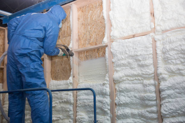 Best Basement Insulation  in Westmont, NJ